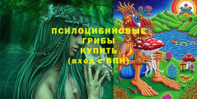 OMG ссылки  Приволжск  Псилоцибиновые грибы Psilocybe  где купить наркоту 